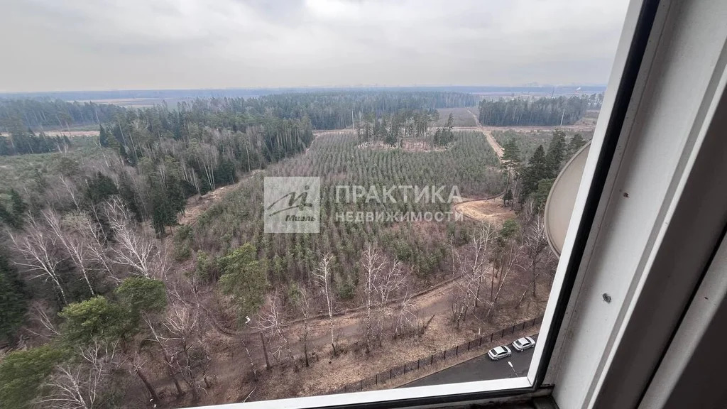 Продажа квартиры, Балашиха, Балашиха г. о., ул. Твардовского - Фото 14