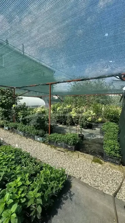 Продажа дома, Минеральные Воды, 1Озерная ул. - Фото 17