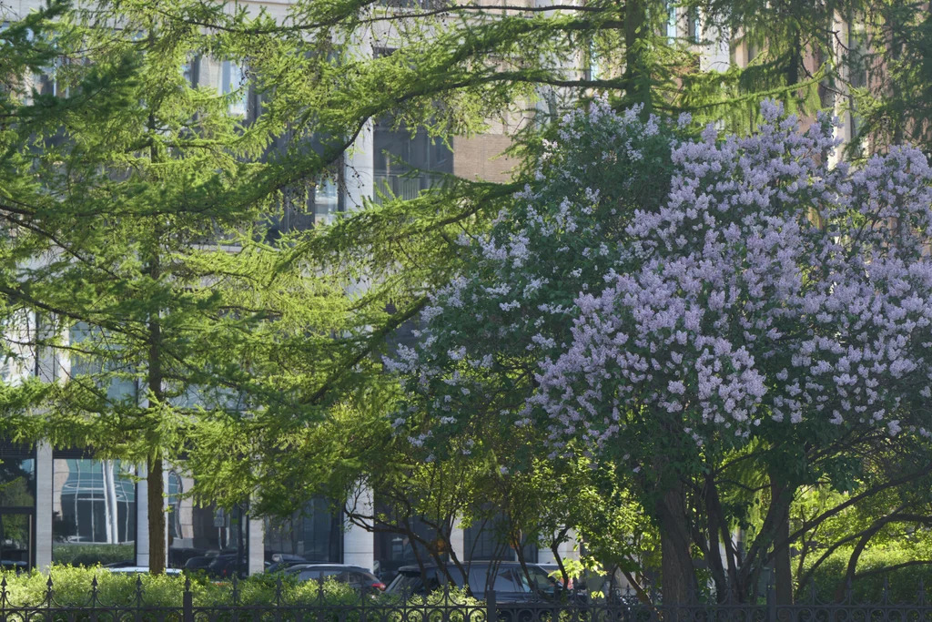 Продажа квартиры в новостройке, ул. Моисеенко - Фото 20