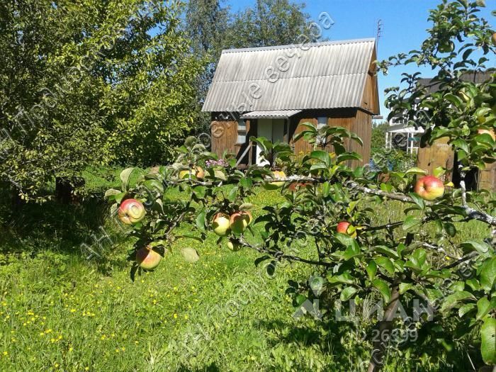 Купить Дачу Истринский Район Арбат 1