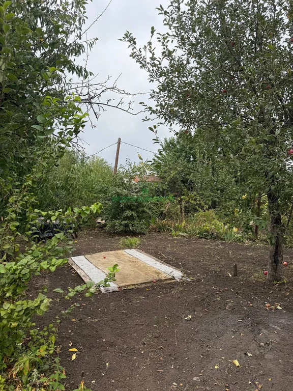 Продажа дома, Быково-Отрогское МО, Балаковский район, 626 - Фото 5