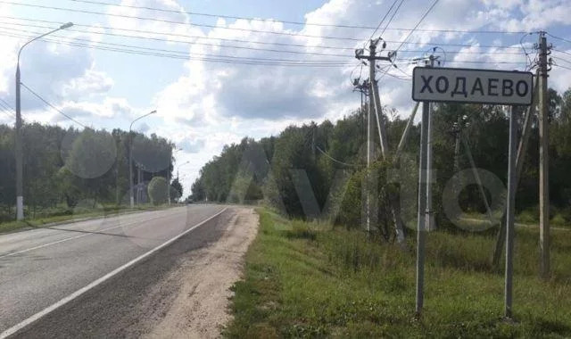 Автобус чехов ходаево. Ходаево Чехов. Деревня Ходаево.