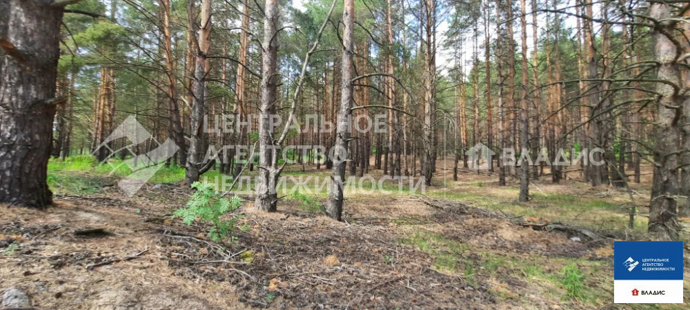 Продажа участка, Сумбулово, Спасский район, ул. Центральная - Фото 1