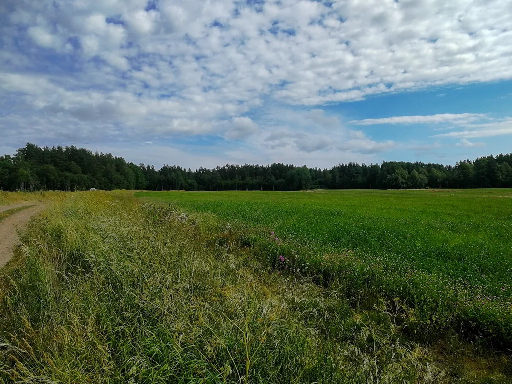 Продажа участка, Солнечное, Приозерский район - Фото 12