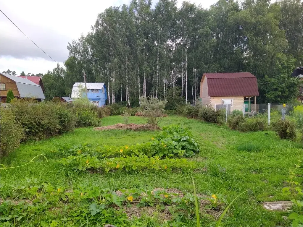 Снт Мосгоргеотрест Рузский Район Купить Дом