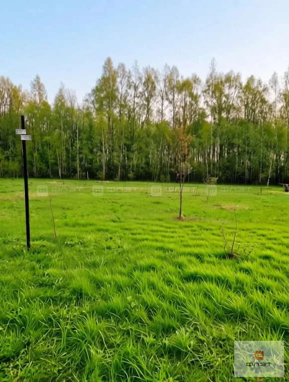 Продажа участка, Большие Кургузи, Зеленодольский район, ул. Красивая - Фото 2