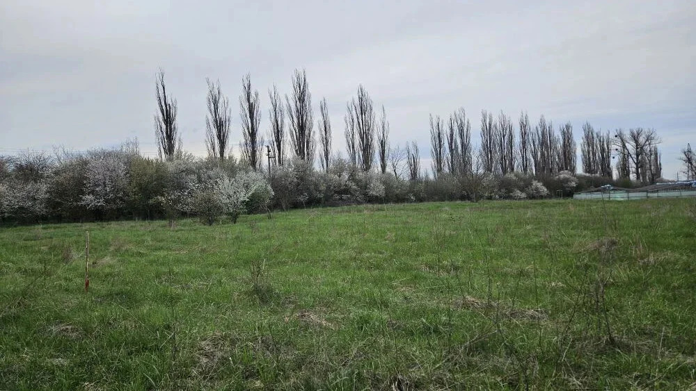 Продажа участка, Холмская, Абинский район - Фото 4