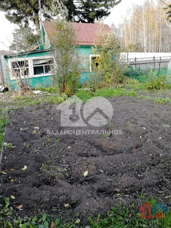 Новосибирский район, садовое товарищество Яблоневый Сад № 1,  дом на ... - Фото 2