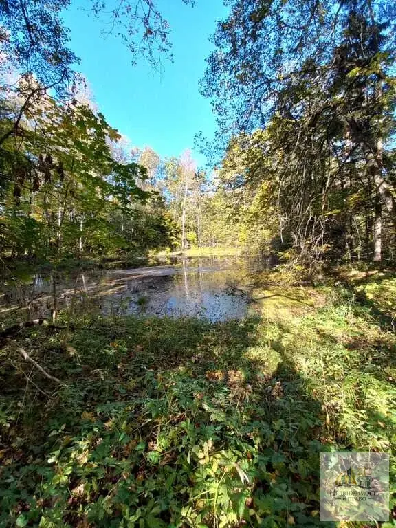 Продается участок 54 км Ленинградского шоссе - Фото 6