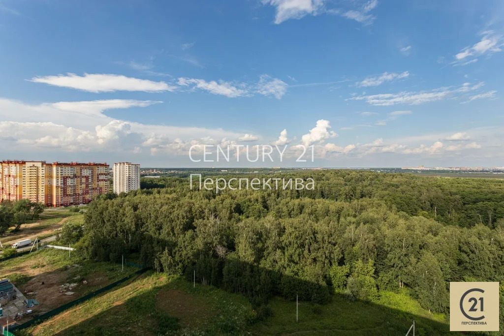 Продажа квартиры, Раменское, Раменский район, улица летчика Волчкова - Фото 8