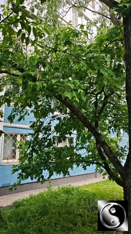 Сдам двухкомнатную квартиру 55.0м Строгинский бул., 17К1, Москва, ... - Фото 21