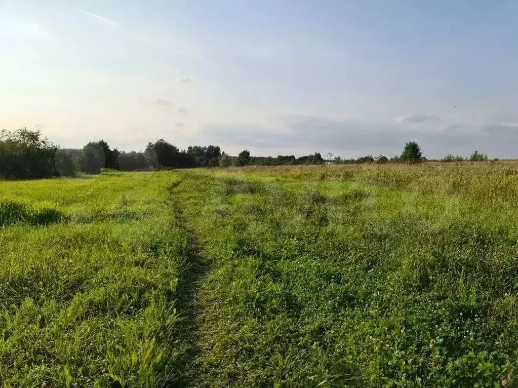 Земельные участки в Смоленской области (Смоленский банк) - Фото 0