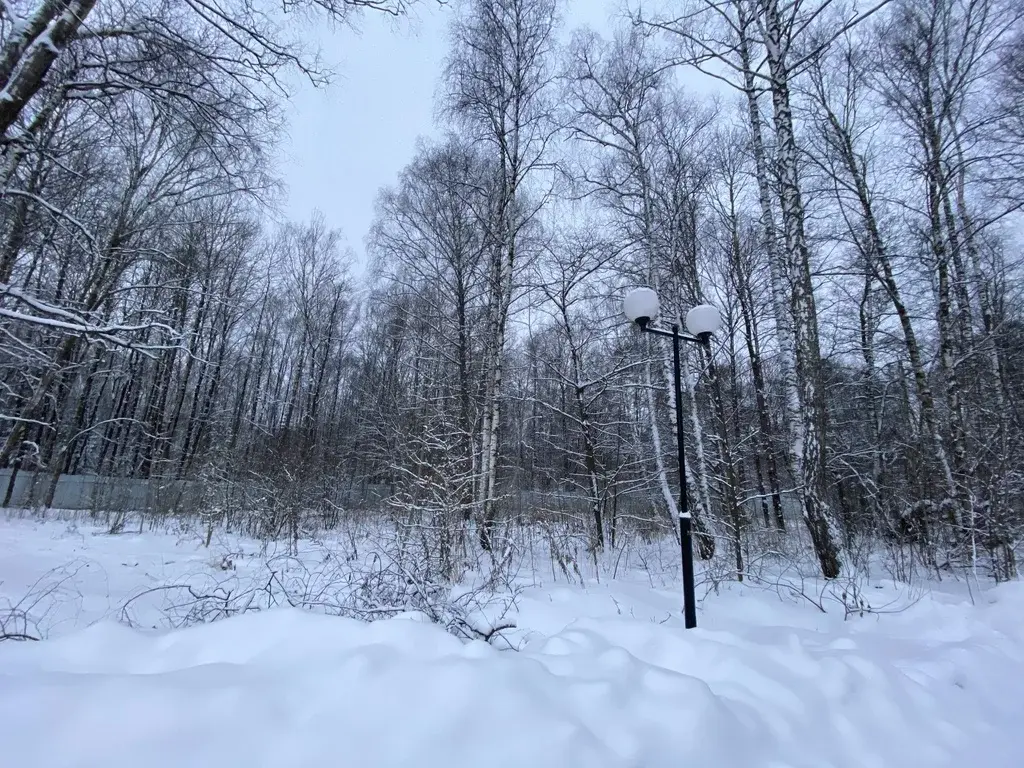 Лесной участок в коттеджном посёлке, 21 сотка, Финская деревня - Фото 8