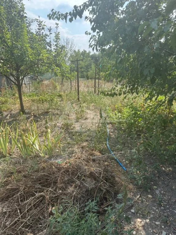 Продажа дома, Георгиевск, ул. Красная - Фото 8