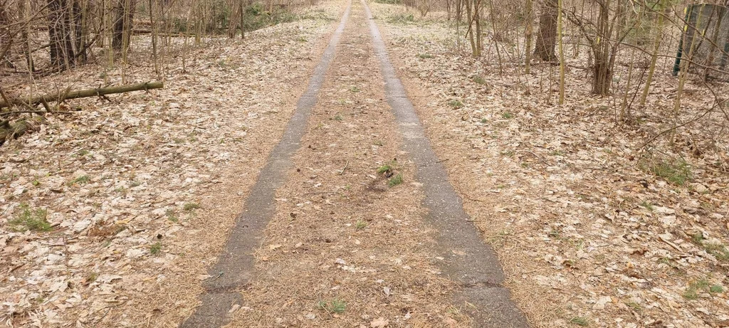 База отдыха "Лесные дали" - Фото 8