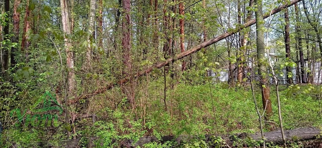 Продажа участка, Быково, Волоколамский район, улица Опаринская - Фото 3