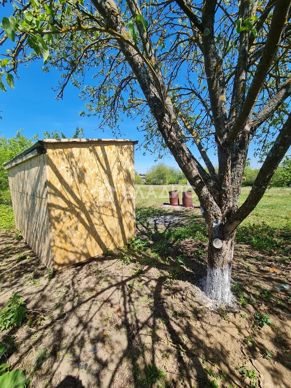 Суздальский район, село Сновицы, Сиреневая улица,  земля на продажу - Фото 5