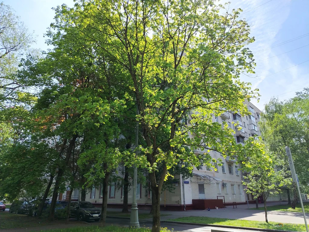 Продажа квартиры, Перовское ш. - Фото 3