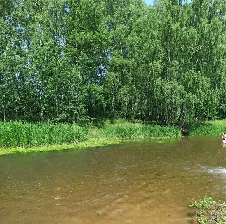 Участок с Домом (брус. коробка) в стародачном месте Подмосковья - Фото 12