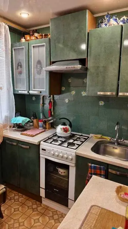 М.О. пгт. Скоропусковскии&774;, д. 13. Продается 2 кв 42,5 кв.м на 1/5 д - Фото 1