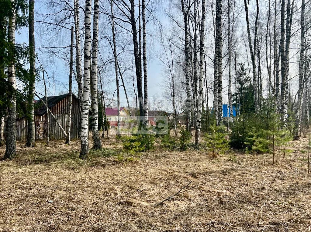 Продажа участка, Талдом, Талдомский район - Фото 8