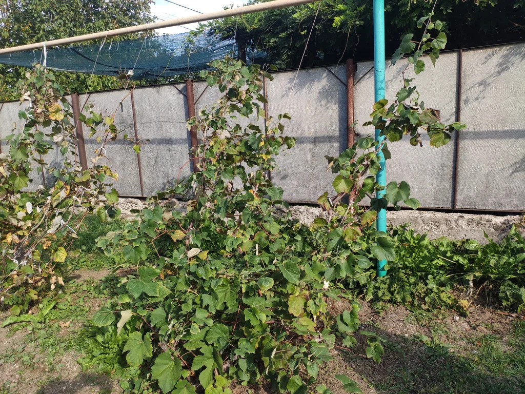 Продажа дома, Холмская, Абинский район, ул. Гоголя - Фото 12