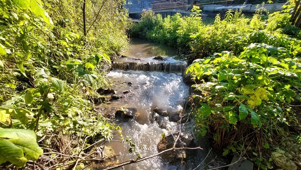 Живописный участок в Белокурихе от собственника! - Фото 26
