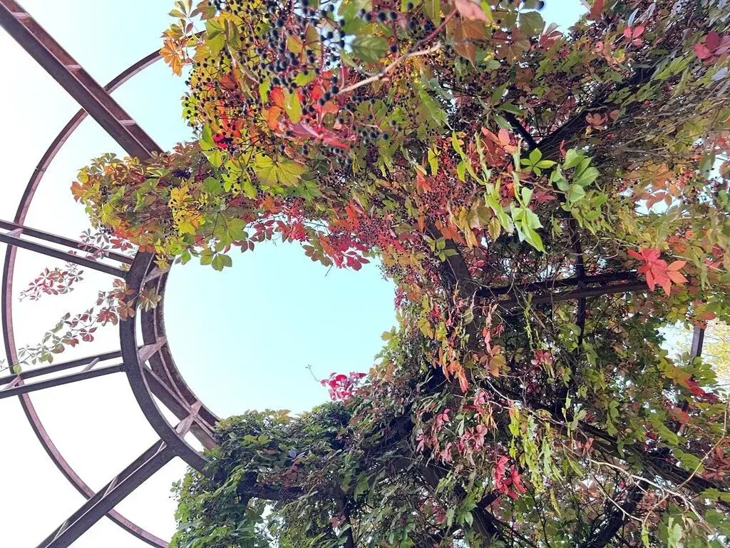 Купить однокомнатную квартиру 48.5м Новокуркинское ш., 35К2, Москва, . - Фото 46