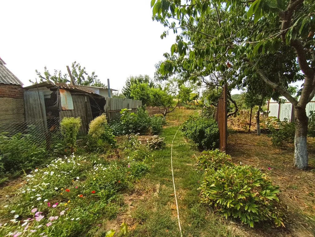 Продажа дома, Стрелка, Темрюкский район, Кузнечный пер. - Фото 13