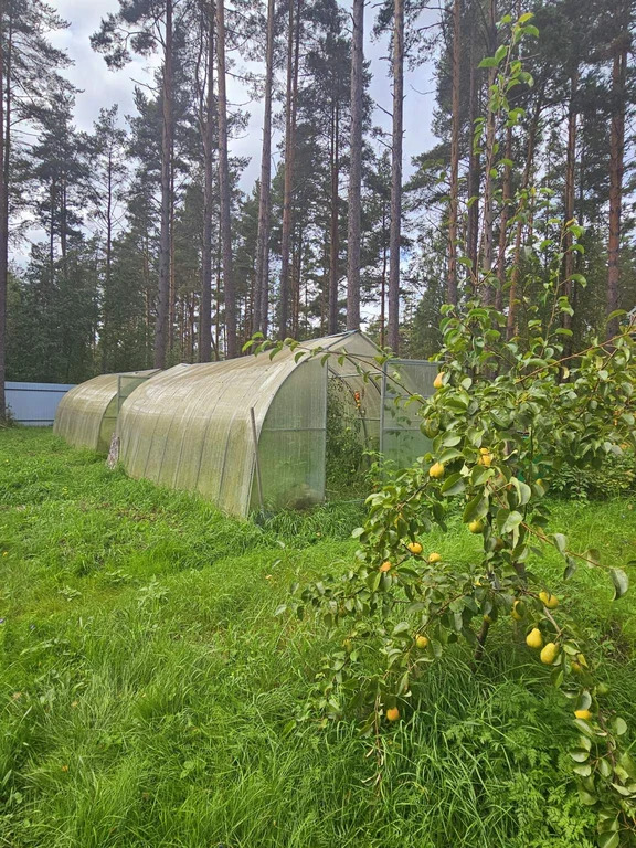 Дом 95 м2 на участке 20 сот. на карельском перешейке - Фото 0