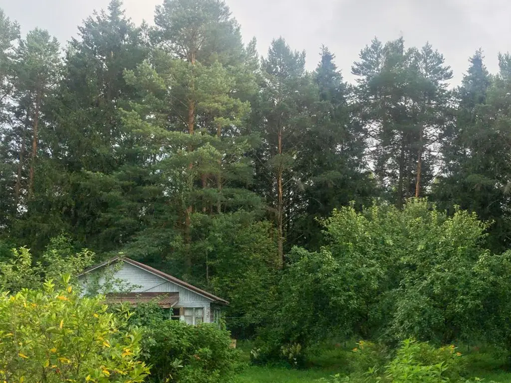 Купить дом в окружении леса можно уже сейчас! - Фото 2