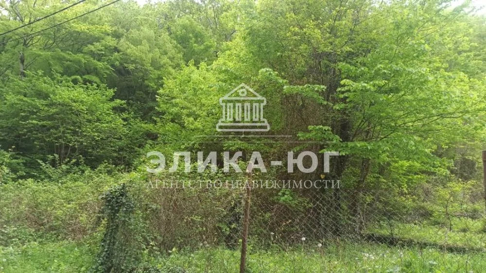 Продажа участка, Ольгинка, Туапсинский район, СНТ Успех - Фото 5