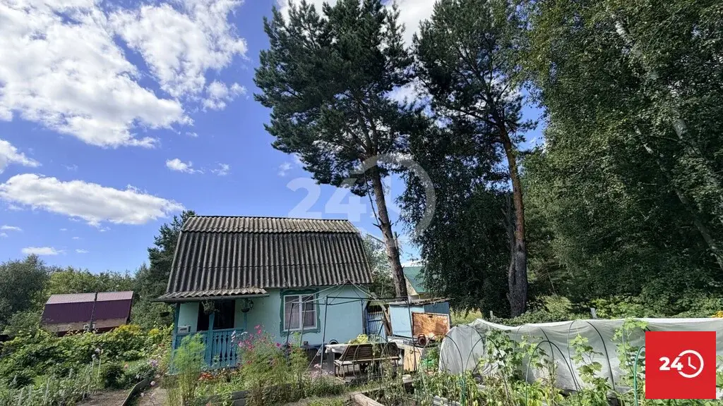 В продаже дача в лесу СНТ Сосенки - Фото 18