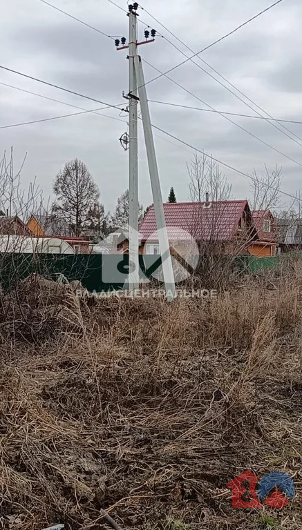 Новосибирский район, садоводческое некоммерческое товарищество ... - Фото 2