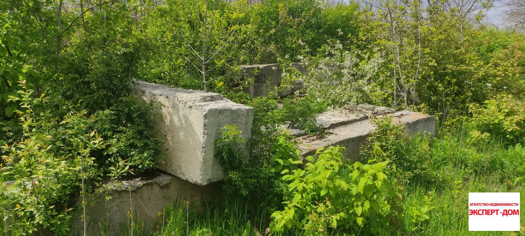 Продажа участка, Мержаново, Неклиновский район, Голубые ели сад - Фото 13