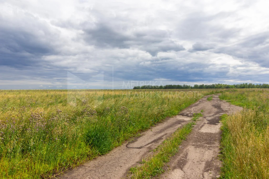 Продажа земельного участка, Тюменский район, Тюменский р-н - Фото 20