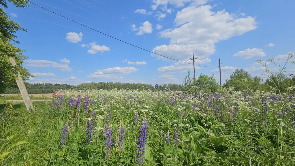 Продажа участка, Селищево, Солнечногорский район, ул. Ольховая - Фото 4