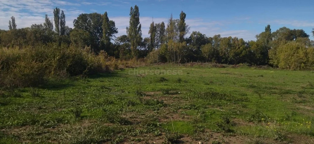 Продажа участка, Севастополь, ул. Речная - Фото 5