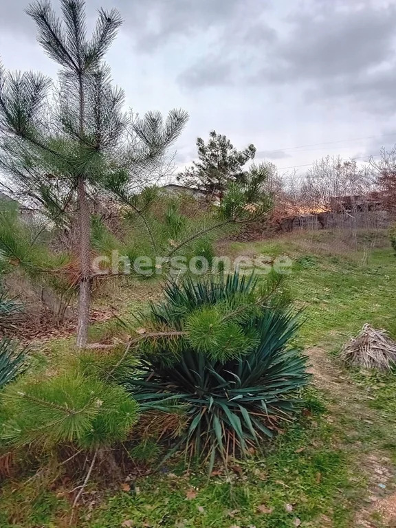 Продажа участка, Севастополь, территория СТ Гавань - Фото 5