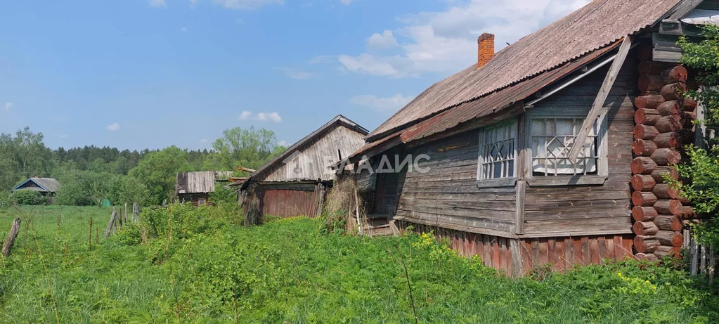 Судогодский район, деревня Дорофеево, Центральная улица,  дом на ... - Фото 3