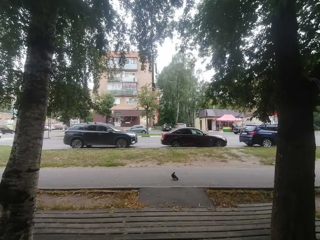 Сдаю в аренду коммерческое помещение 58 м - Фото 13