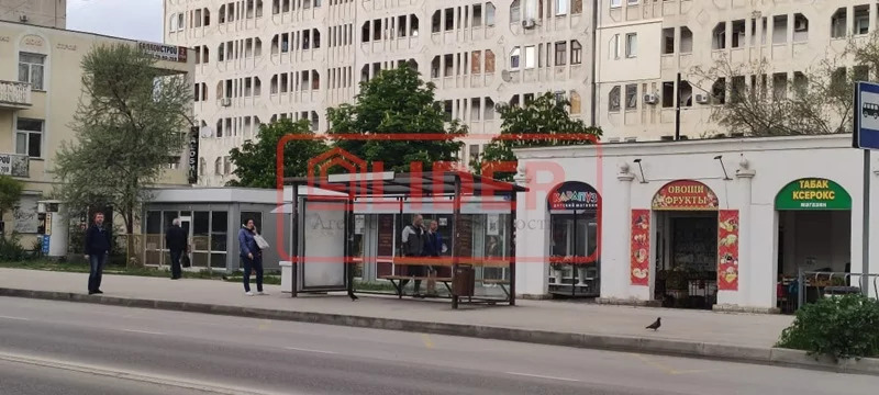 Кактус шоу ул бориса михайлова 5в фото