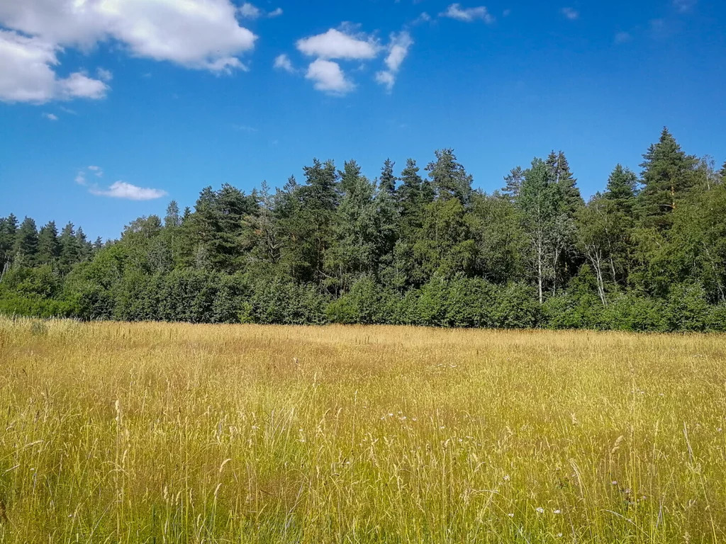 Продажа участка, Солнечное, Приозерский район - Фото 5