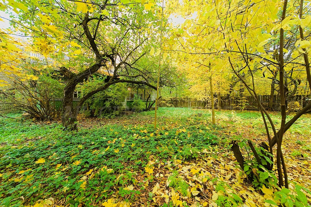 Продажа участка, Загорянский, Щелковский район, ул. Матросова - Фото 6