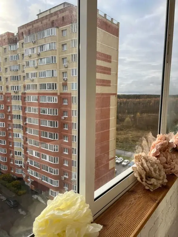 г. Раменское ул. Молодежная д. 29 - Фото 20