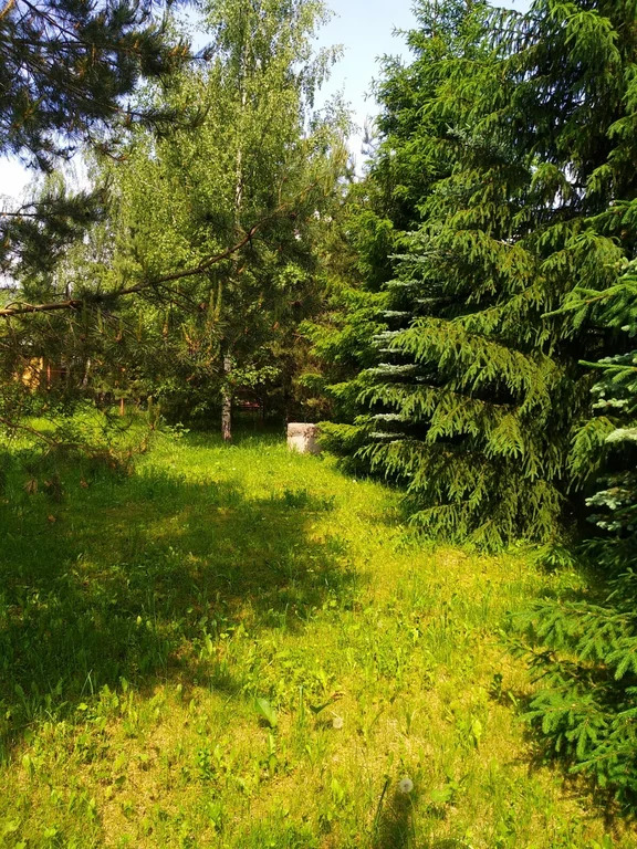 Продажа участка, Николо-Урюпино, Красногорский район, ул. Липовая - Фото 18