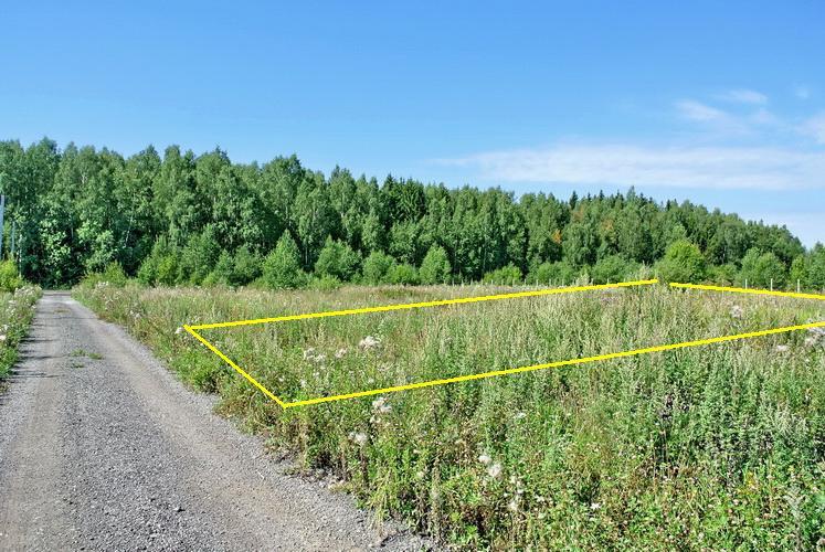 Деревня повадино солнечногорский район фото