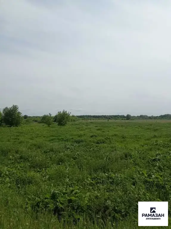 Продаю земельный участок - Фото 4