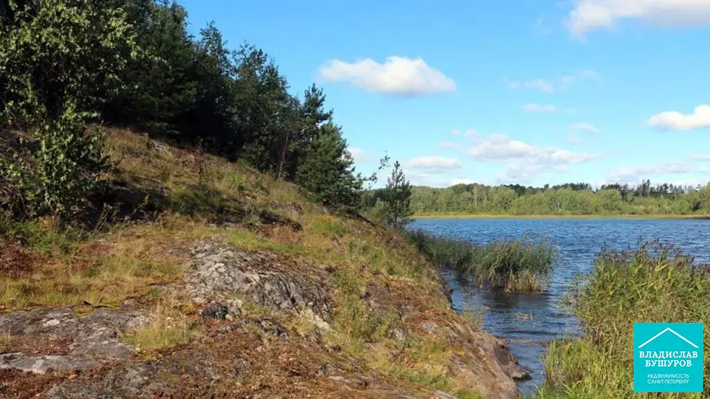 участки в карелии. земельный участок в лесу карелия. асилан. республика карелия земельные участки. республика карелия земельные участки.