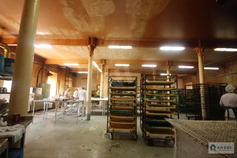 Аренда помещения пл. 700 м2 под производство, пищевое производство . - Фото 8